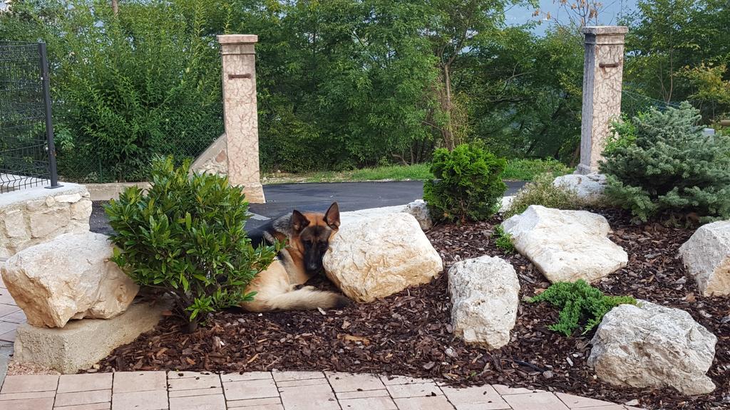 Agriturismo Al Maniero Trento Kültér fotó